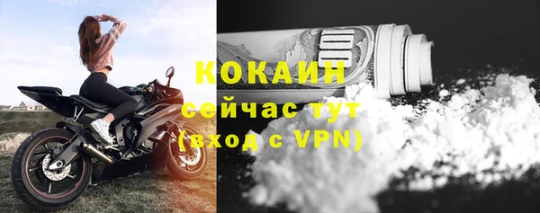 spice Каменка