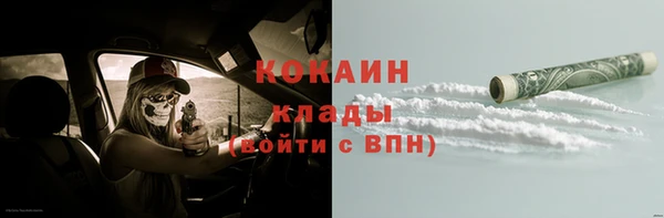 spice Каменка