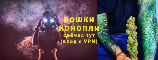 spice Каменка