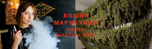spice Каменка